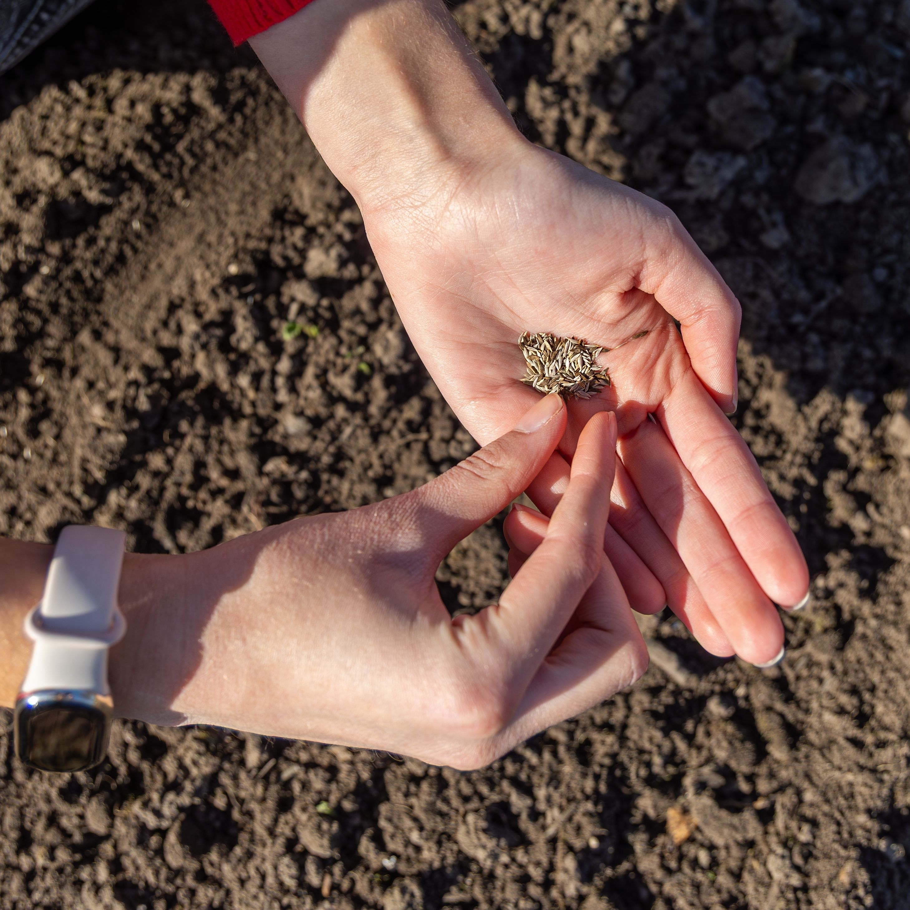 Hoe werkt je moestuinbodem